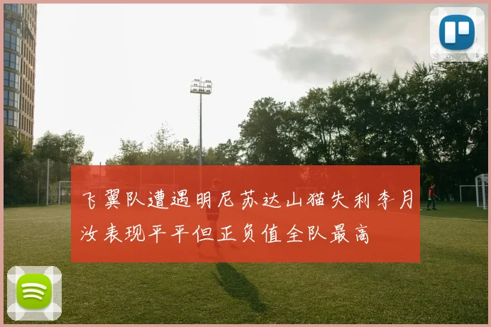 飞翼队遭遇明尼苏达山猫失利李月汝表现平平但正负值全队最高