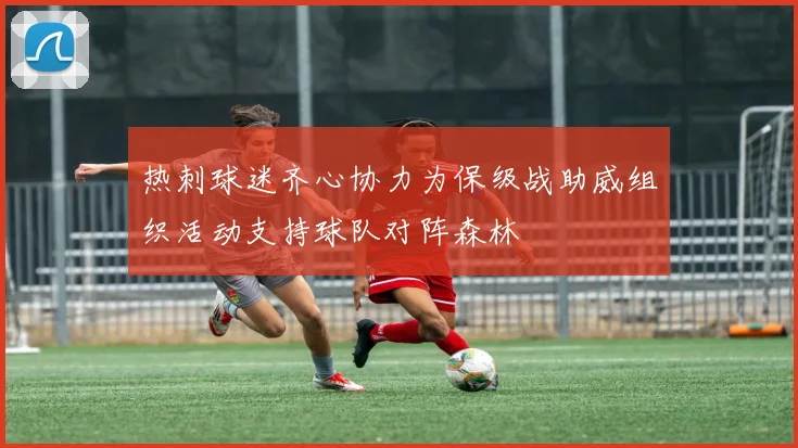 热刺球迷齐心协力为保级战助威组织活动支持球队对阵森林
